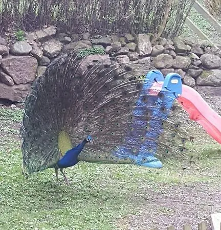 Slotskro 3* Tranekær