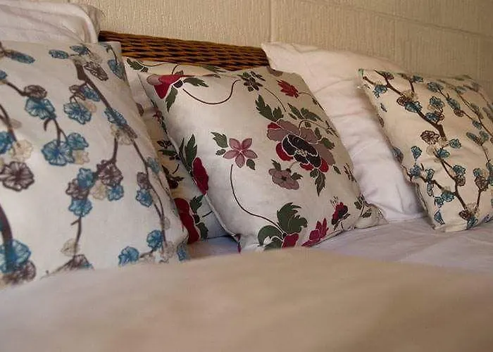 宾馆 Slotskro Tranekær