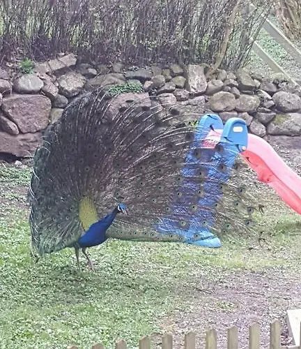 Slotskro 3* Tranekær