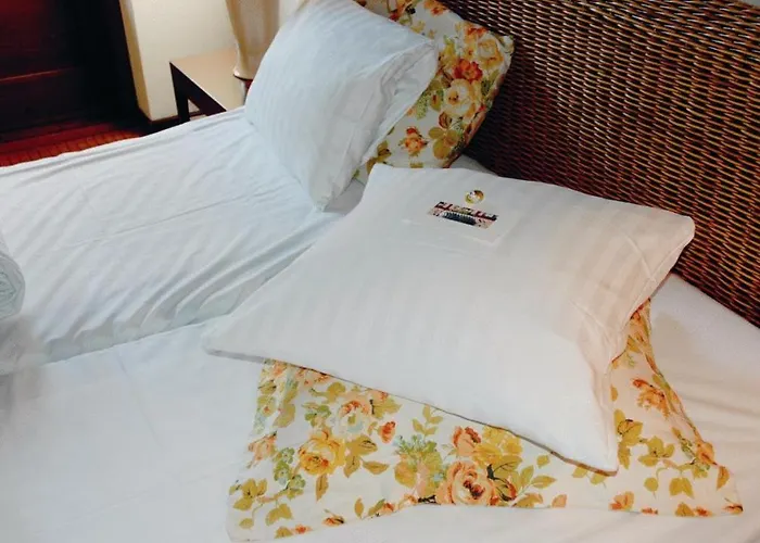 宾馆 Slotskro Tranekær